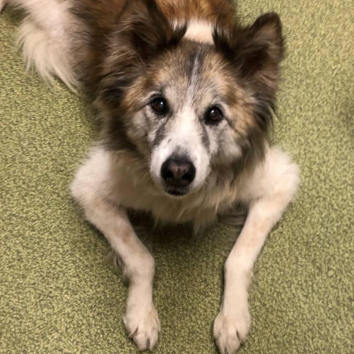 A1a9b0d7 ea4d 4321 abc4 5b2017cdb70a 1515999917090