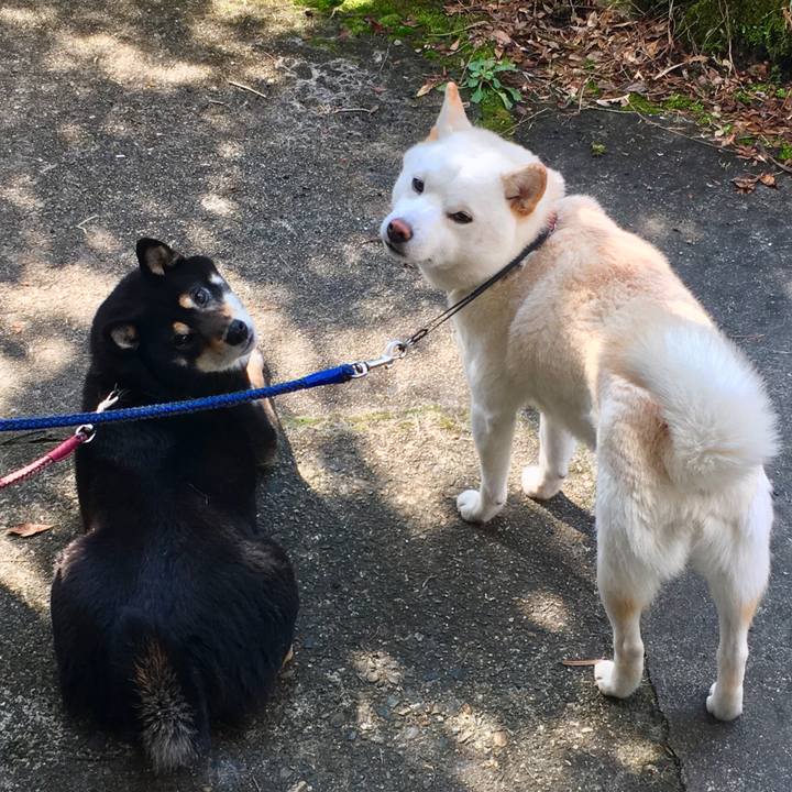 A1a9e3bc 6a62 4df9 8e8a 2467592283ff 1550825403447