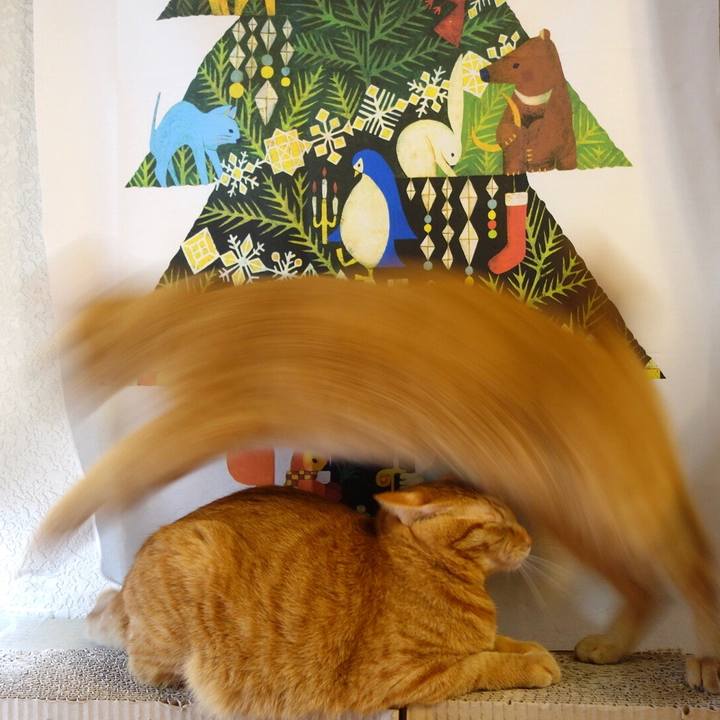 A1a9edec 4aaf 451c a42c 6ed6db65ed15 1588739299600