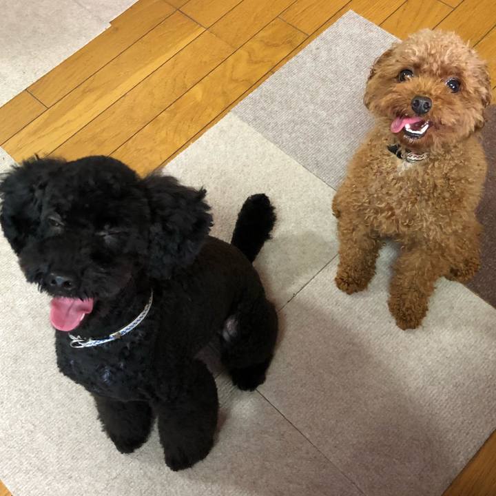 A1aa0e78 2407 462a 9fe1 805b02b4fbf6 1553552015789