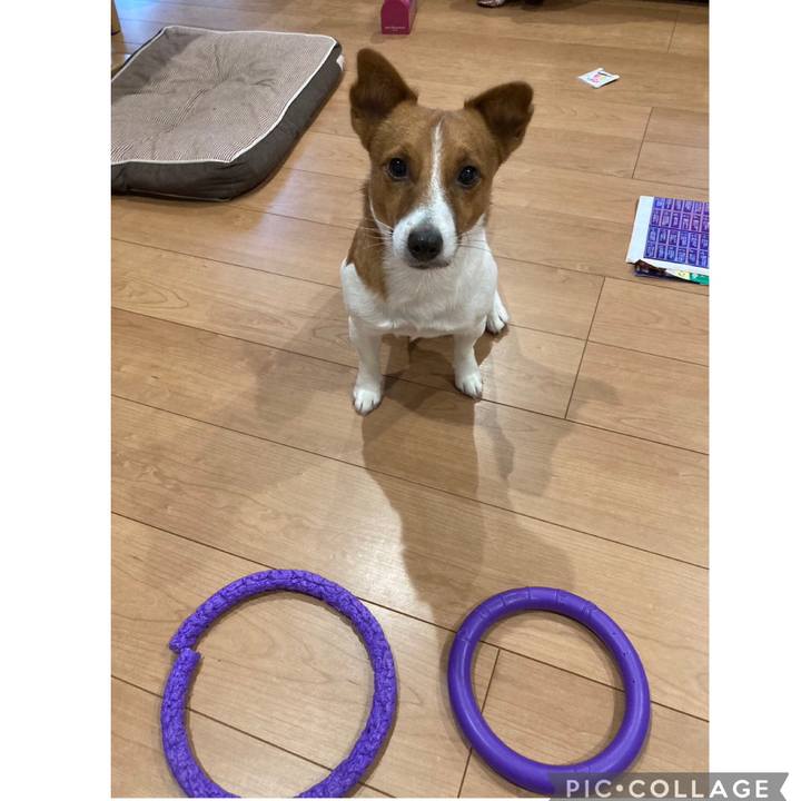 A1aa1bd4 5413 432a bfc7 3d644d3a3279 1671709828526