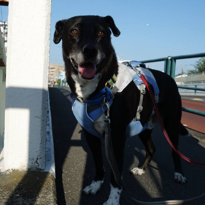 A1aa2068 d5f4 4a22 92df f143efe8f119 1723331743721