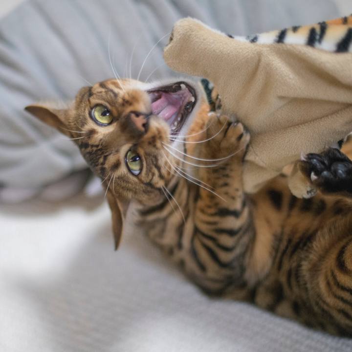 A1aa20d9 f60a 4440 a0f7 576d342b577b 1521910599792