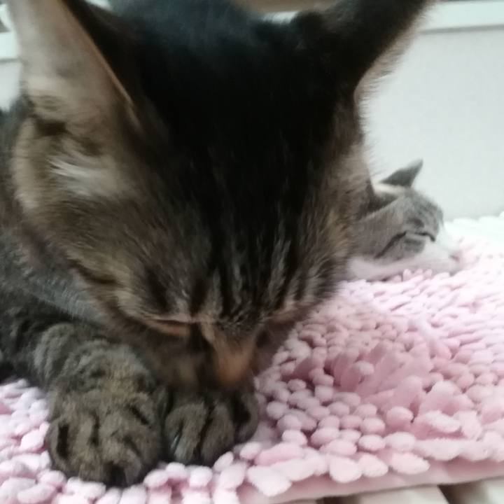 A1aa44bc 16f0 4bb7 9463 ba6e65ed29ab 1558533140603