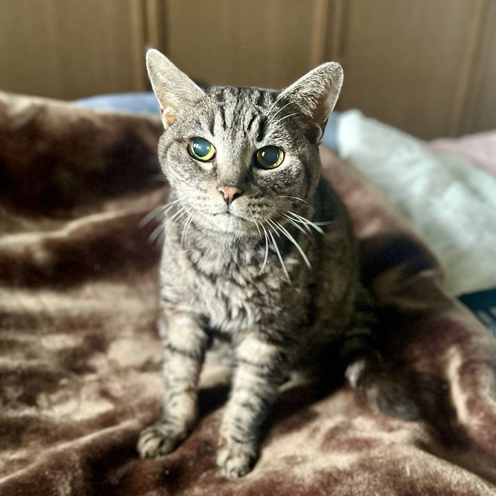 A1aa57b1 1d64 4bd9 aecb 9d08b3889739 1761571118384