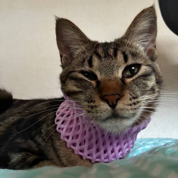 A1aa5b1e 4797 444b 9484 10308c06a6b8 1754731793634