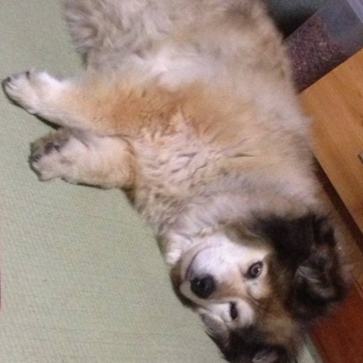 A1aa7fc7 ab74 406e 92be 87fedbe28ff5 1612039235826