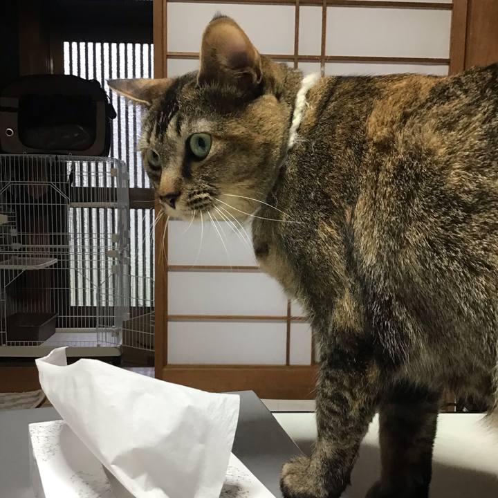 A1aabeb8 3779 440e 9ff6 e48f7065caa1 1648973510241