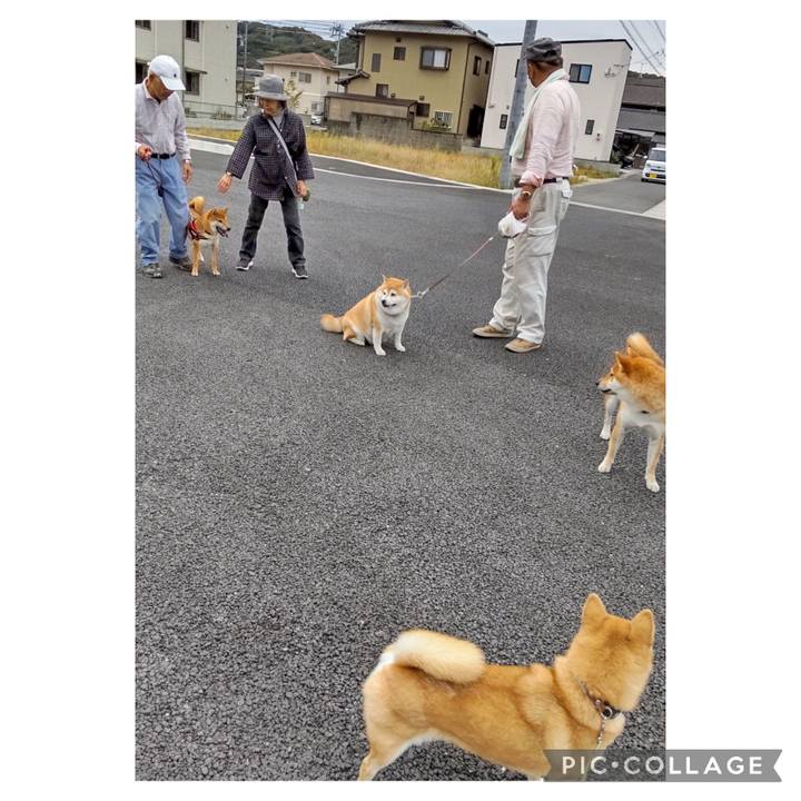 A1aabf37 ad64 4e5d b5ed 6555fda8706c 1696720107802