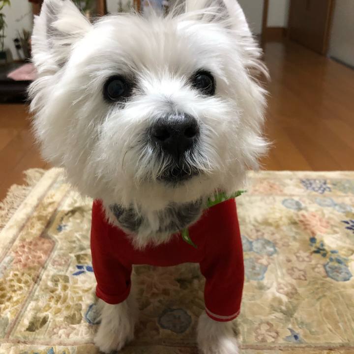 A1aad3c6 0e2f 4e0f aa0a fb993f27a1dc 1666180304347