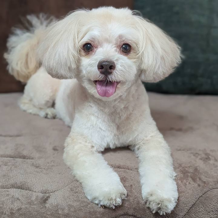 A1aae936 8cd6 4ac5 b4b9 a21a84edaf19 1762852165779