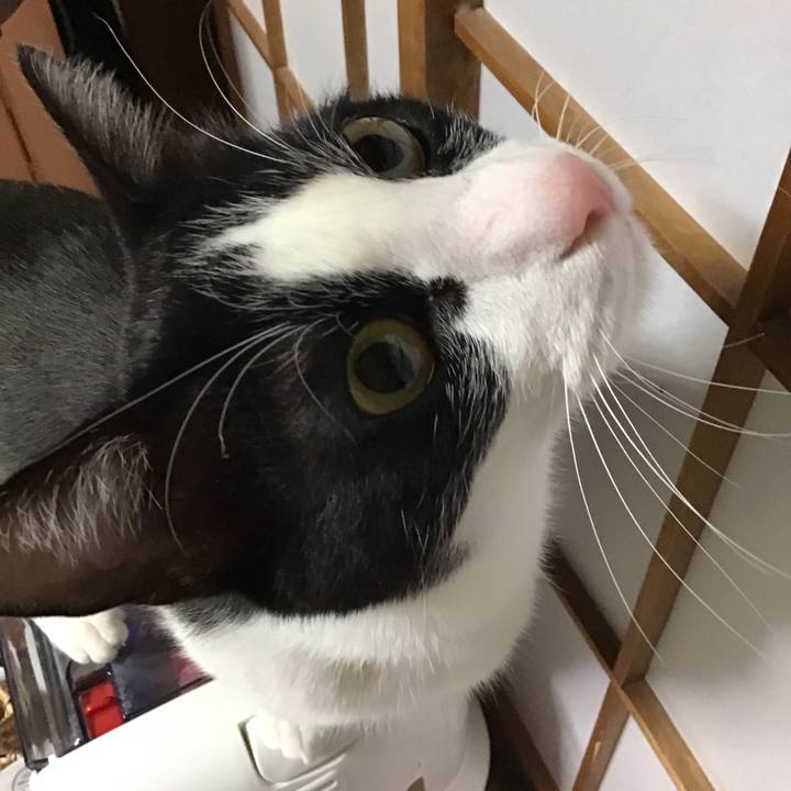 A1aafd54 8e9d 4f65 8476 e6fcb0f66f5e 1712919536833