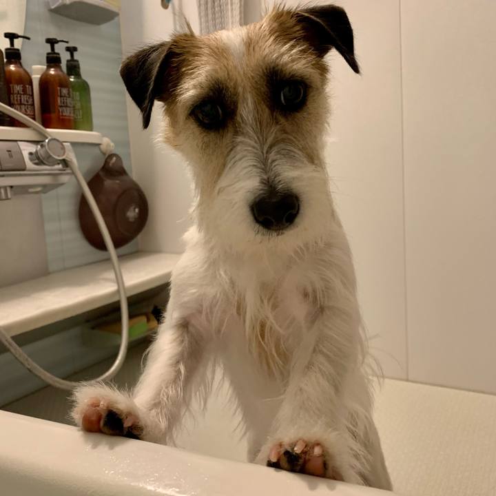 A1ab159c 0050 4698 98fd 50d4ef9e995f 1683629728597