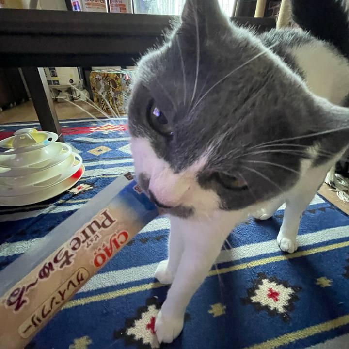 A1ab5389 7f62 4106 a6c3 2e0c8086a1a5 1659867790176