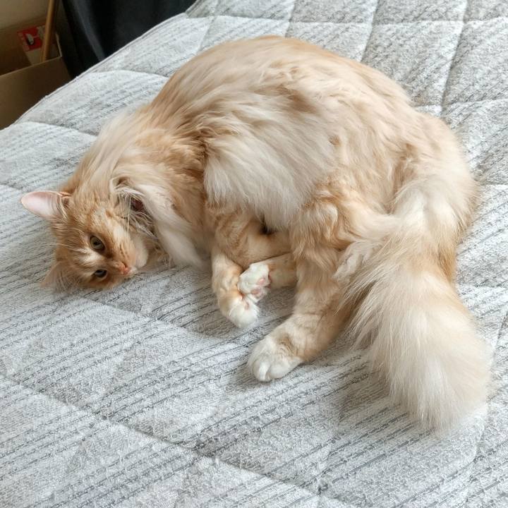 A1ab80f4 7bdd 47db afb8 c68108112e99 1714367467153