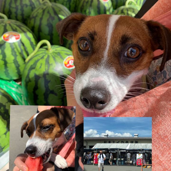 A1ab92cb fc21 439a aca4 7e5766fb58e1 1565661587294