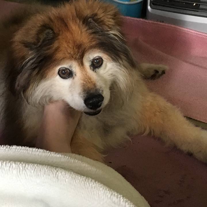 A1ab9b6b 5946 43fa bf26 78e991b71454 1566188300763