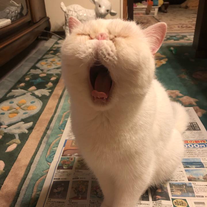 A1abb0af 8f40 4059 9e7d 61afd8bdb9c2 1623067295818