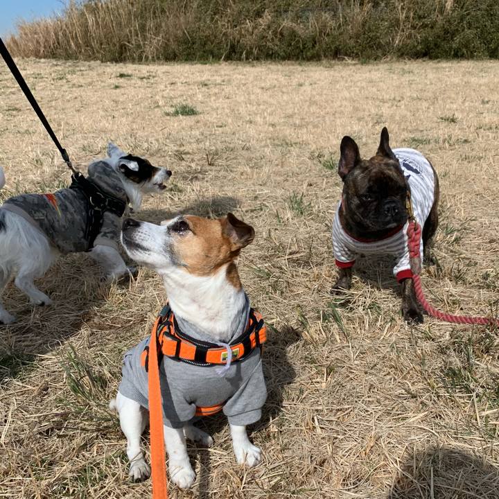 A1abb78b 6e97 4c3a 881c fffa59091a3e 1583210741727