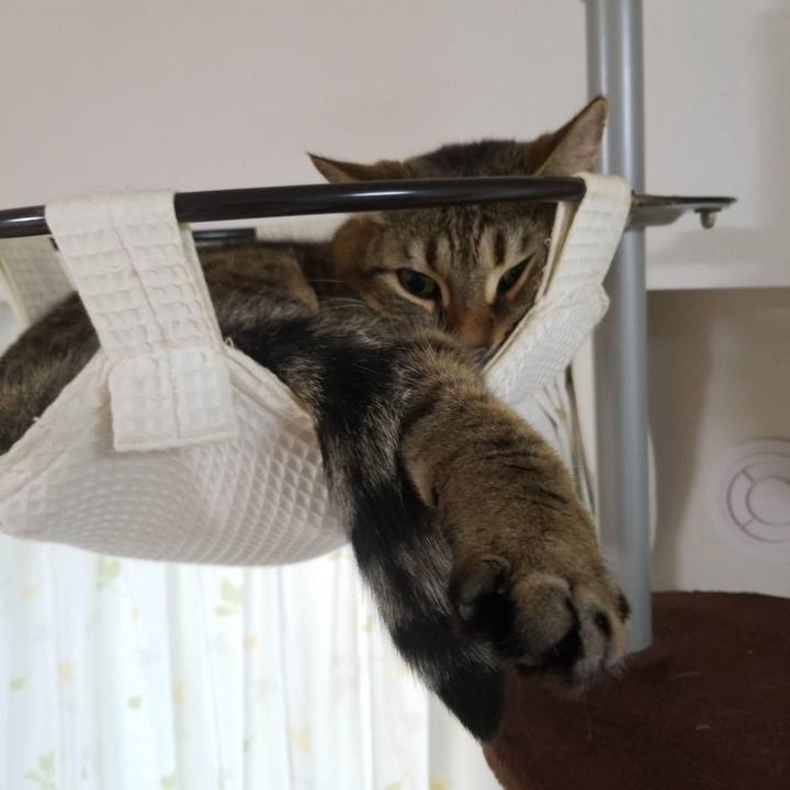 A1abbf7b 74b6 4dd0 8694 b3cf27570397 1583443127112