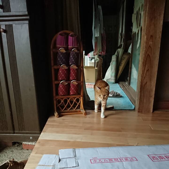 A1abe3bb 9695 45ed bf72 cf1525a04ac3 1596876342650