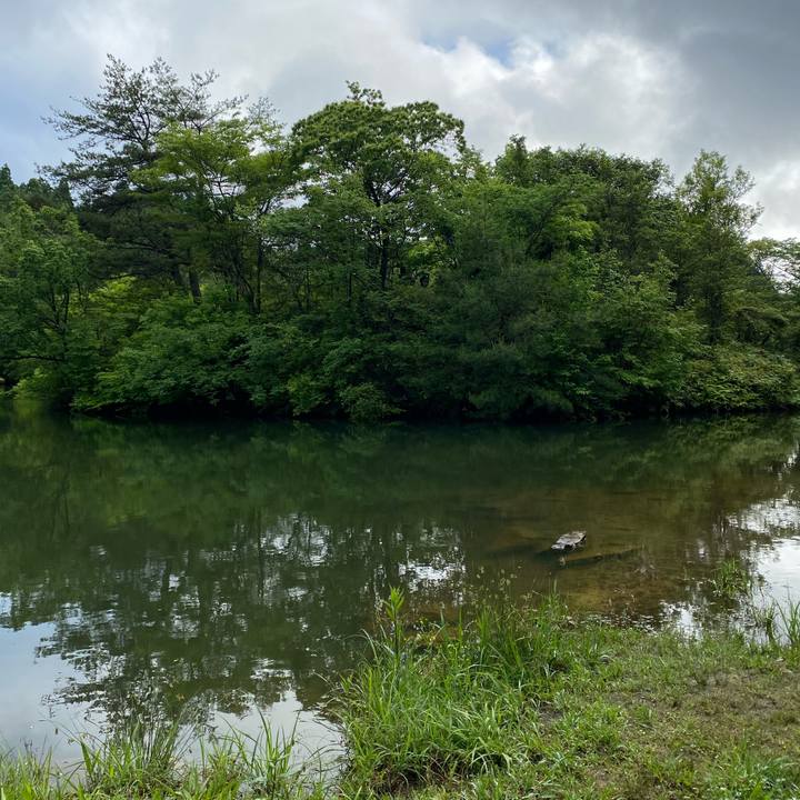 A1abfa62 6f3c 4eff 84fe 90a70d18a71b 1621849030259