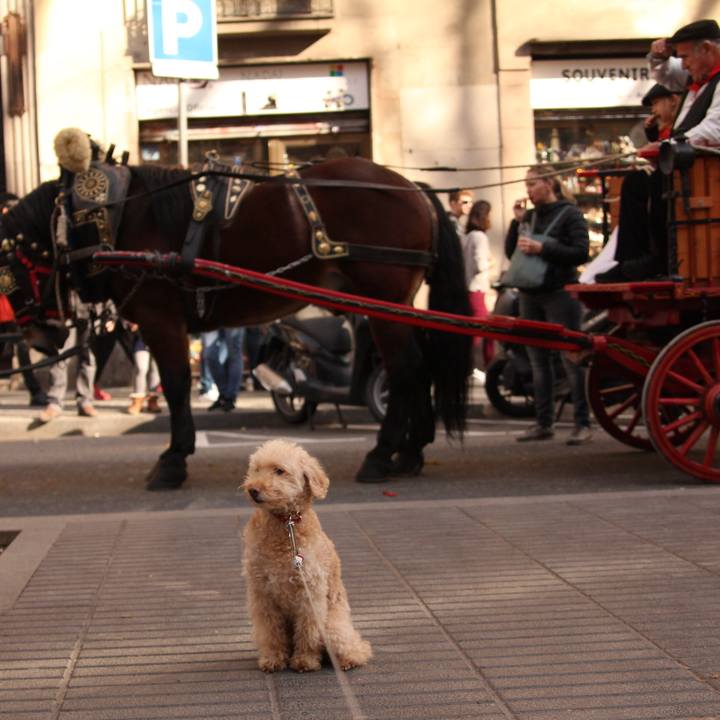 A1ac196f 927d 4cbc 90b0 1c4060d933c3 1516563566700