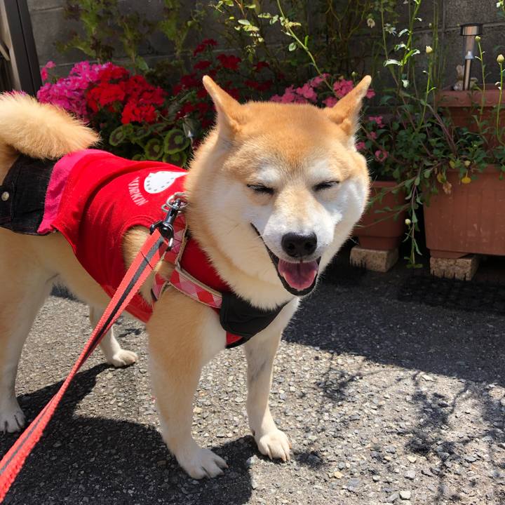 A1ac1a38 03b5 482b 92e9 014fc888aeb7 1557545458580