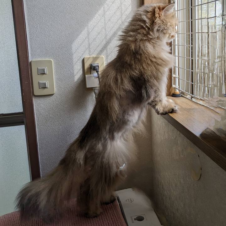 A1ac1ed2 ab64 45ae bffa ba7e9d25724f 1681008886306