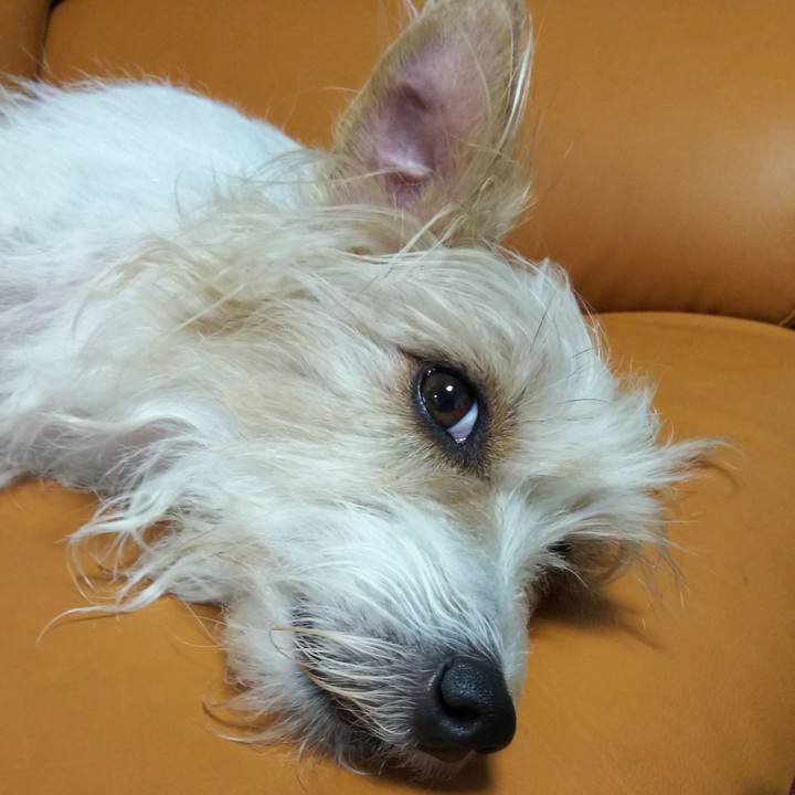 A1ac5221 e7a4 476f 89c8 0f2d92347896 1526565844785