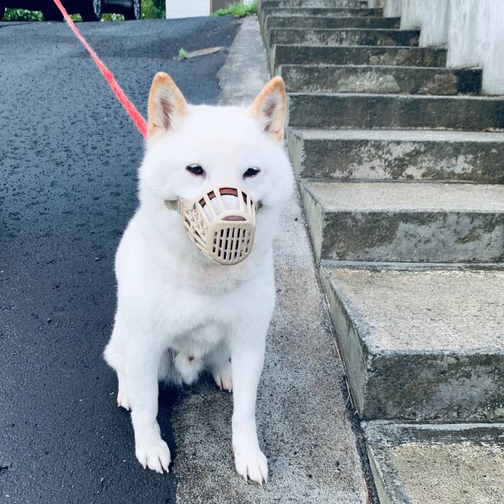 A1ac8f07 85d2 4a3b 9a7f edc4ce0027a7 1593291507449