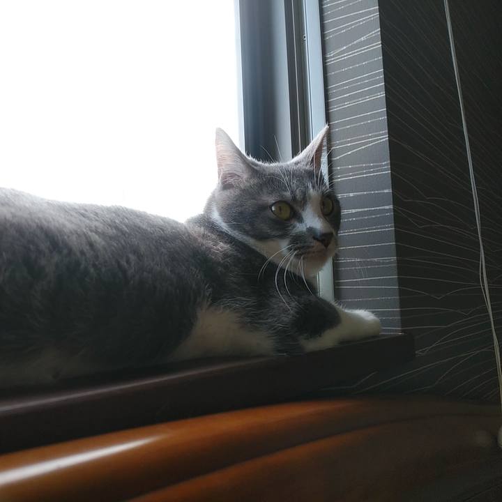 A1aca87f 1a7e 4688 b1e1 8413a13a04f4 1588636121424