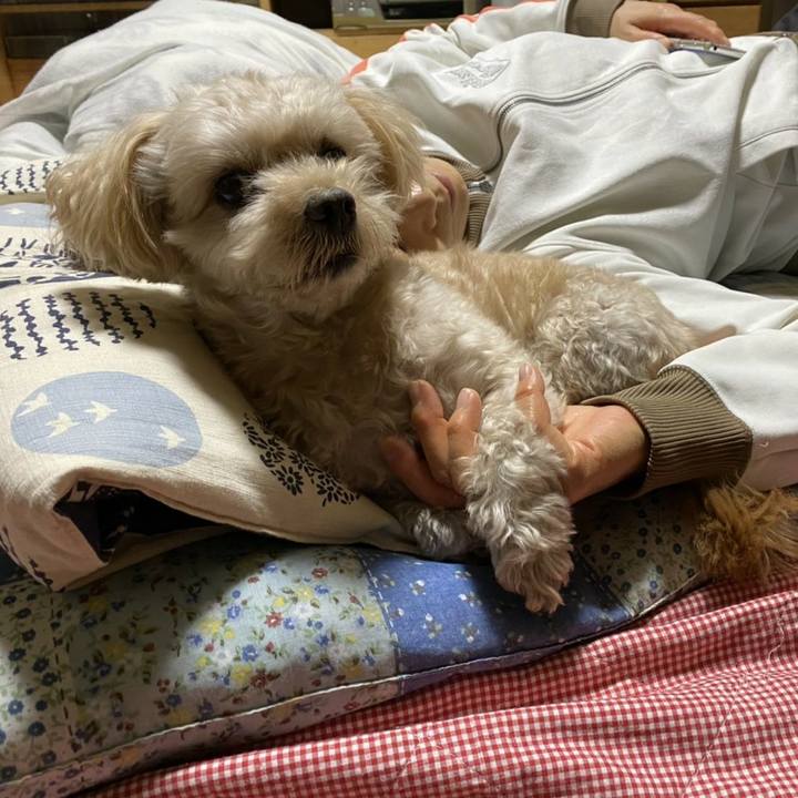 A1acb49b e8ca 47f0 af60 3ba50a71b753 1603969811821