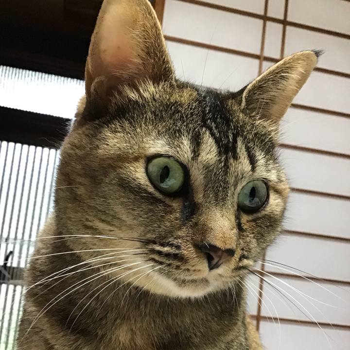 A1accdd1 aaa6 4820 bed5 3042207d336f 1631148614951