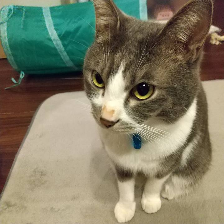 A1ad02ed b614 47ca 95c5 79499e385820 1609277343071