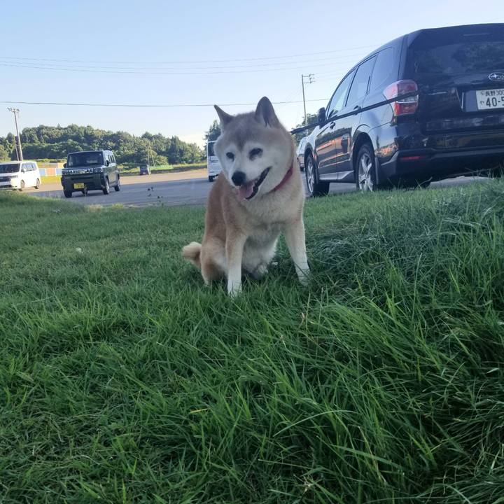 A1ad0407 0e67 48a1 b140 049544be26b5 1722502446900