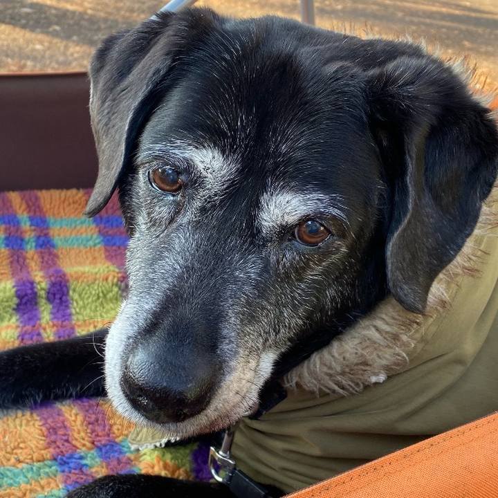 A1ad1bf6 57e6 4406 88b9 c4e889a04ae5 1764414647875