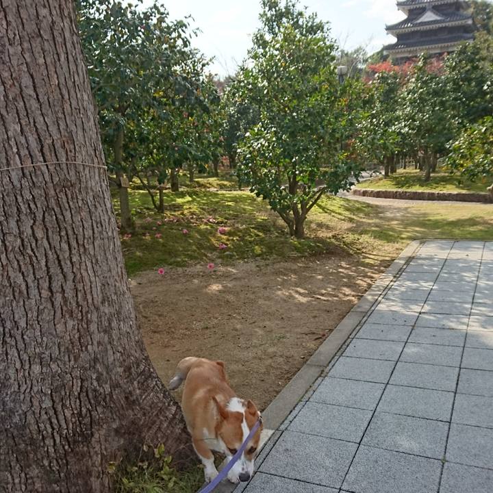 A1ad2309 69bb 448f 999b b3083f210526 1574832338870