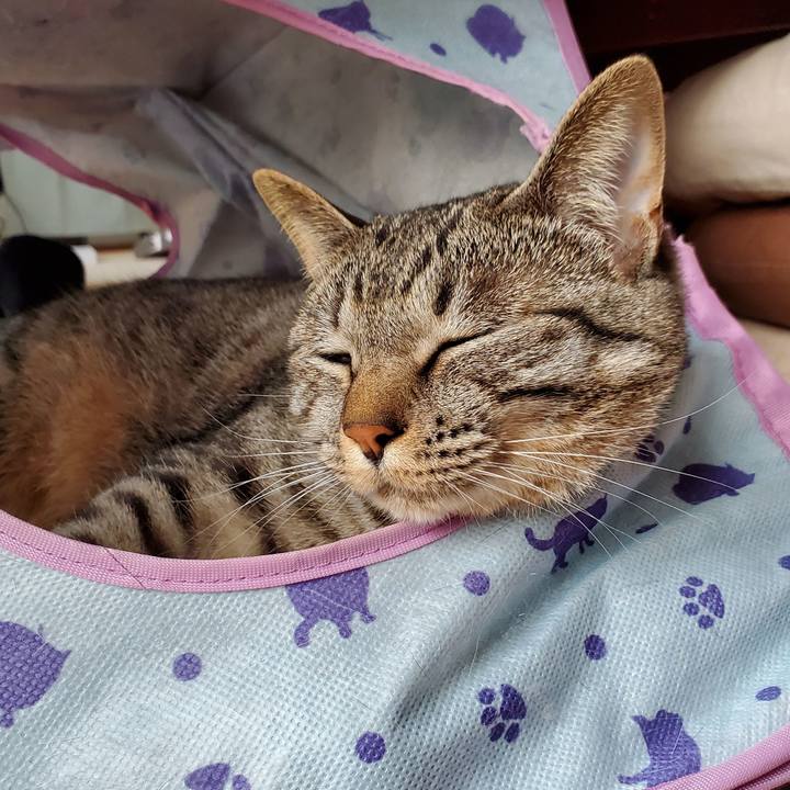 A1ad5084 e528 428a b967 57a3cda9867f 1713583141479