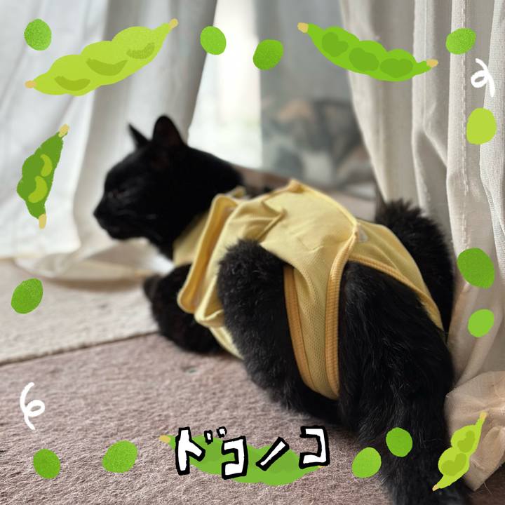 A1ad584f 3191 4236 b2a0 6945a911a3b1 1720750348035