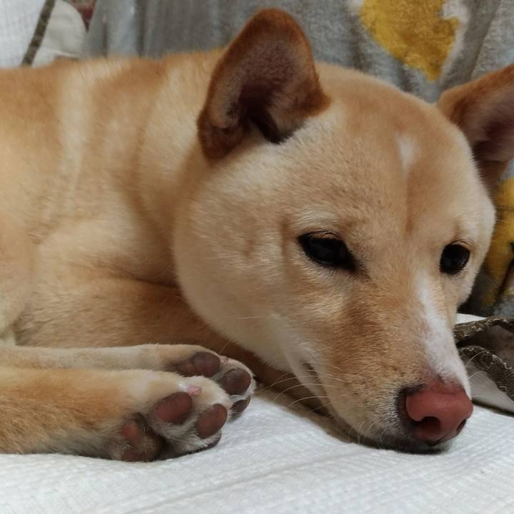 A1ad6545 0df5 4d4b 9a83 183acdd7e22e 1518611919415