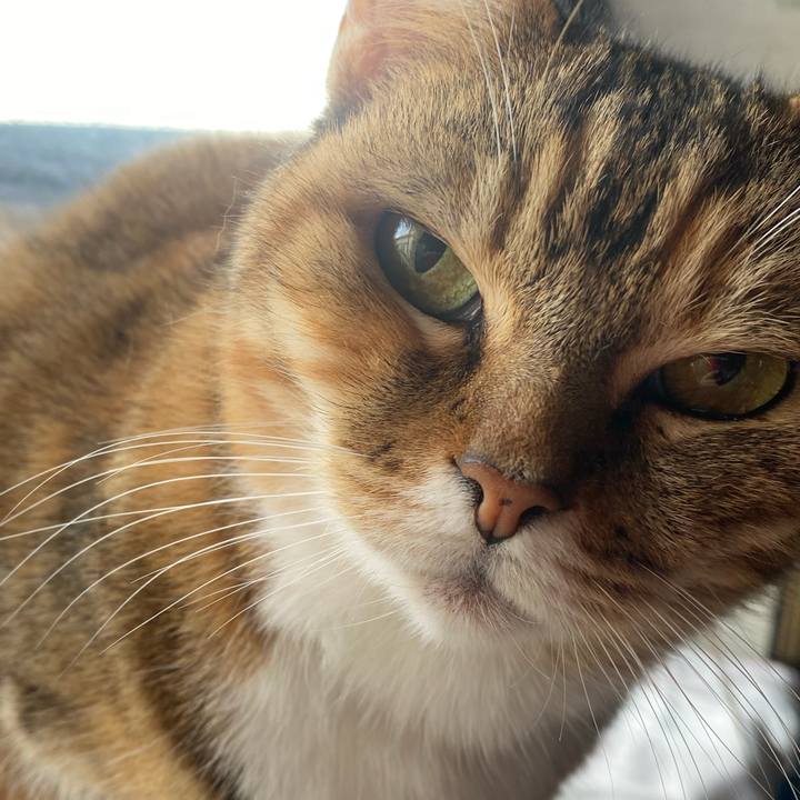 A1ad7c91 fcc1 4dd9 94e7 c1da0645a876 1644903892180