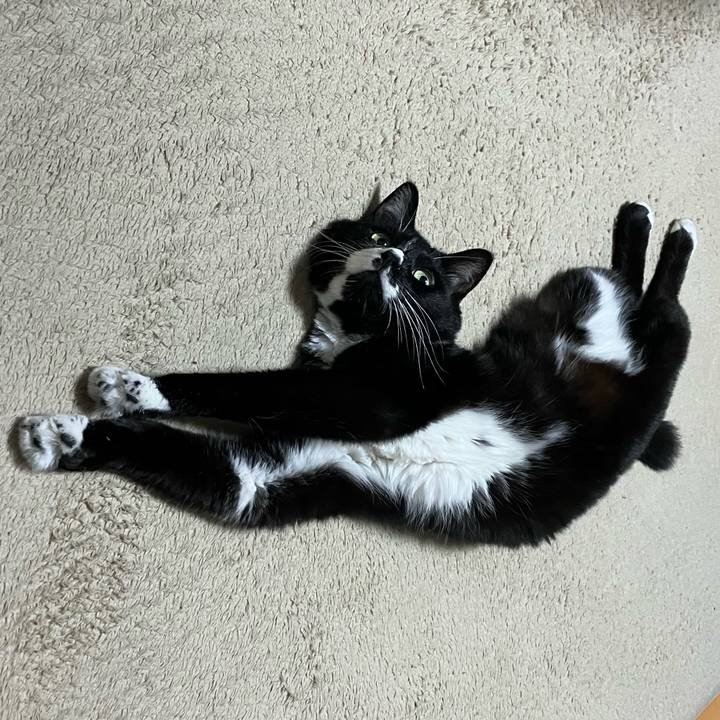 A1ad837e 2c66 4f29 9f20 f12852273e10 1761795662172