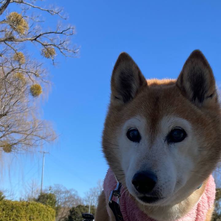 A1ada809 e0e5 49e7 89c4 e08e7f66623c 1770622699080