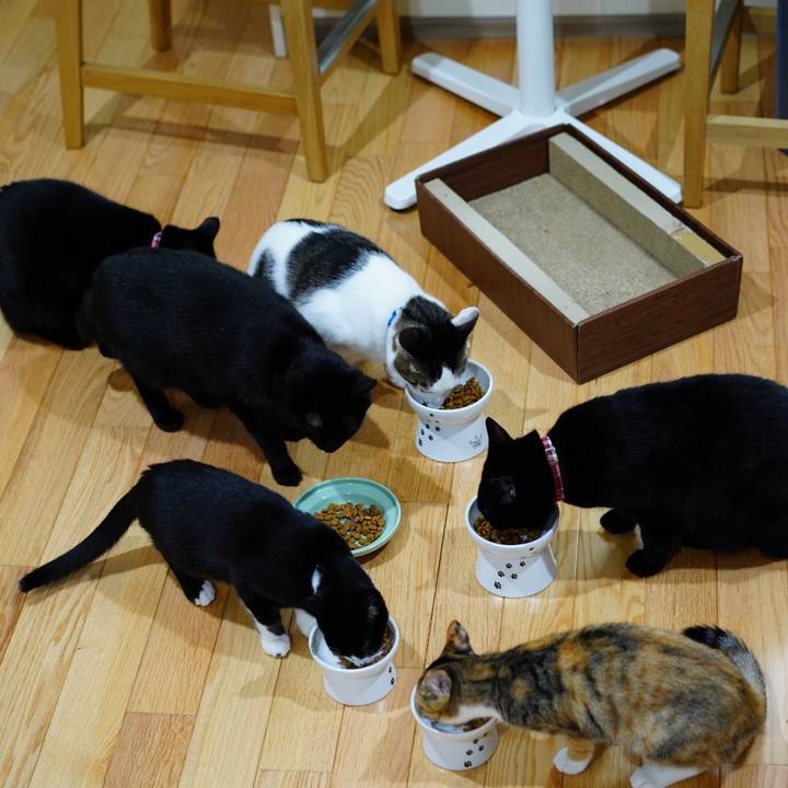 A1adb688 7fe5 4d1b 989f 00044cde6dfa 1575552109750