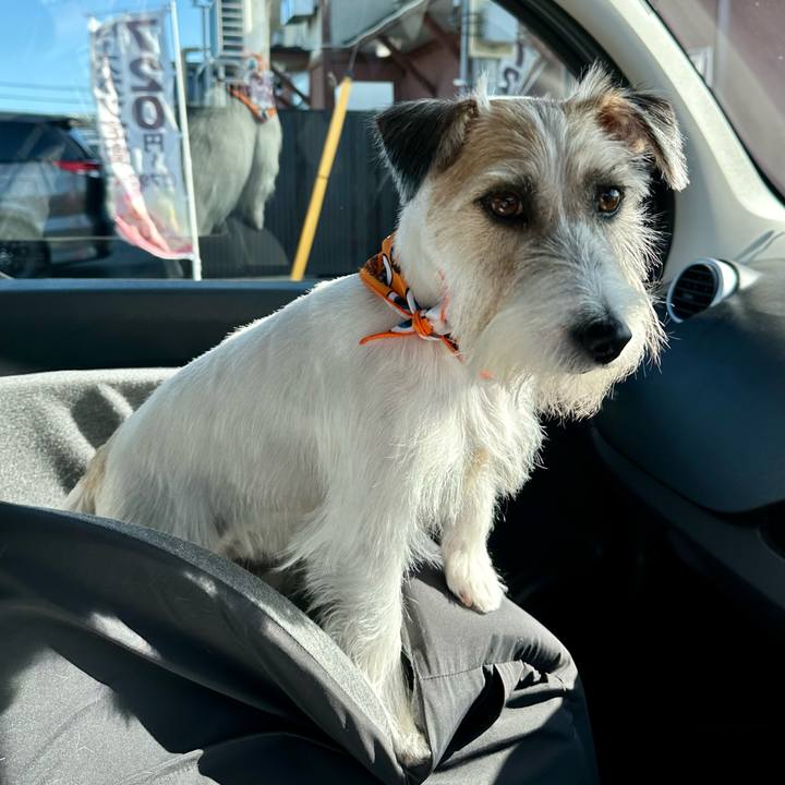 A1adc5c8 d065 46b9 b393 67cff4b47766 1696596980301