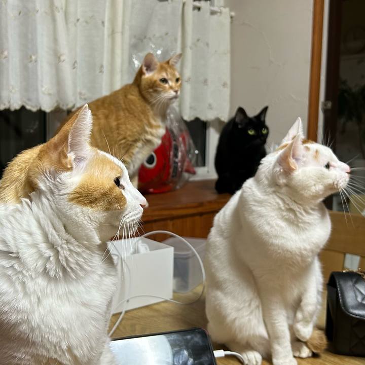 A1ae18e0 3fe1 40df 9d6b 3e0b163718a0 1680096078472