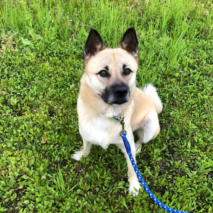 A1ae1902 ebcc 42c9 91d4 315f42cc71a9 1526383182452