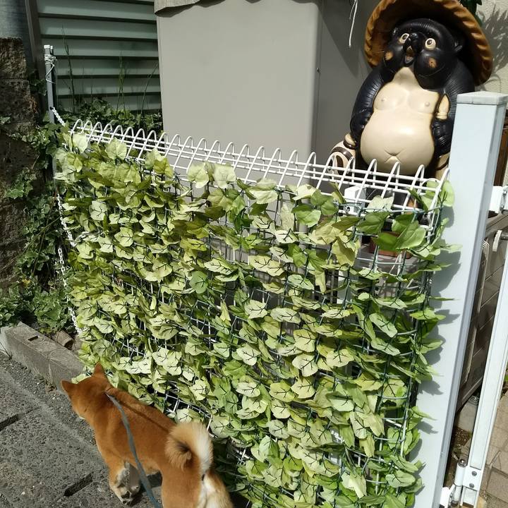 A1ae2fb9 5cbc 444d 886c ff4523529018 1525862843930