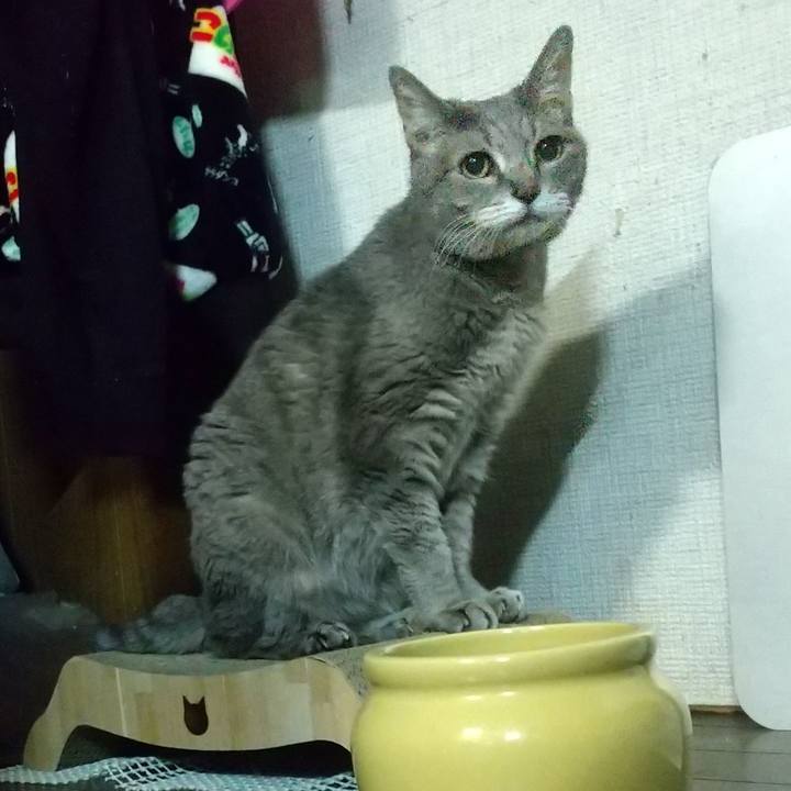 A1ae9b4b 6625 4455 8744 01aa4b58152d 1697459346194